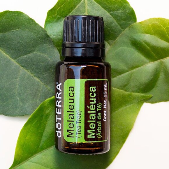 doTerra Melaleuca Tea Tree Essential Oil - Picture 2 of 2